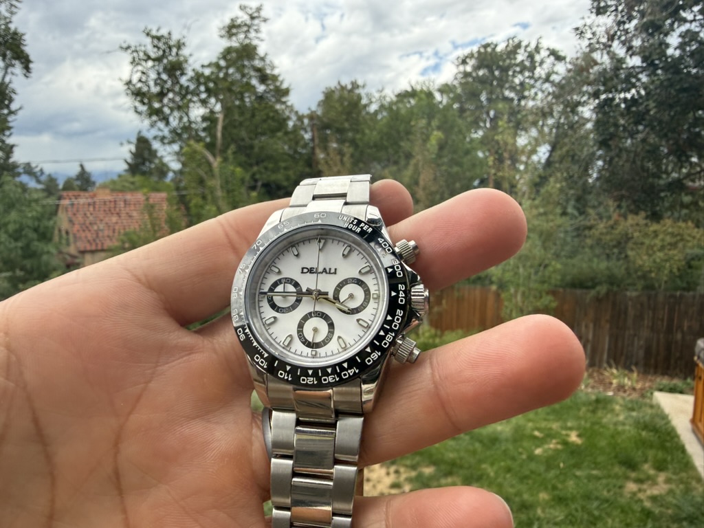 Panda Daytona Homage — held in a hand with a garden and fence behind it